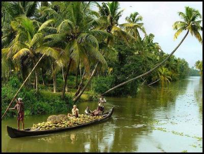 beauty of Kerala, best photography from kerala, funny photos from kerala, beautiful kerala, santosh kumar trivandrum