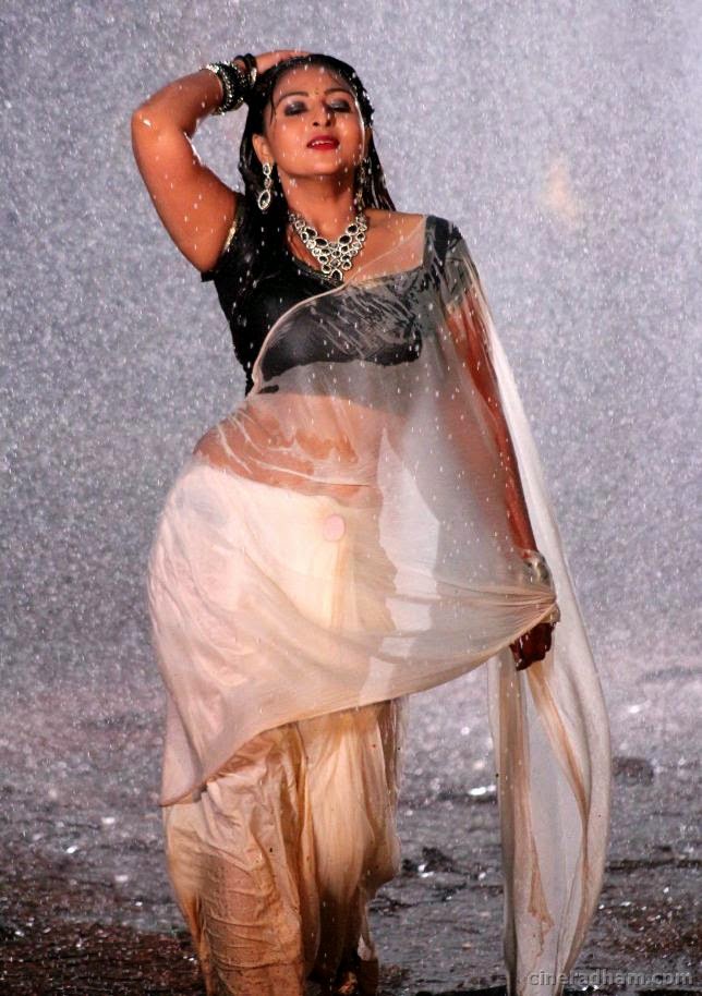 Hot South Indian Aunty In Wet Saree  Craziest Photo -4393