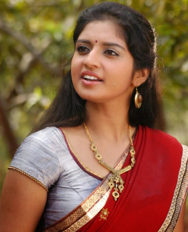 20 Photos Of Sexy South Indian Actress In Saree  Craziest -8800